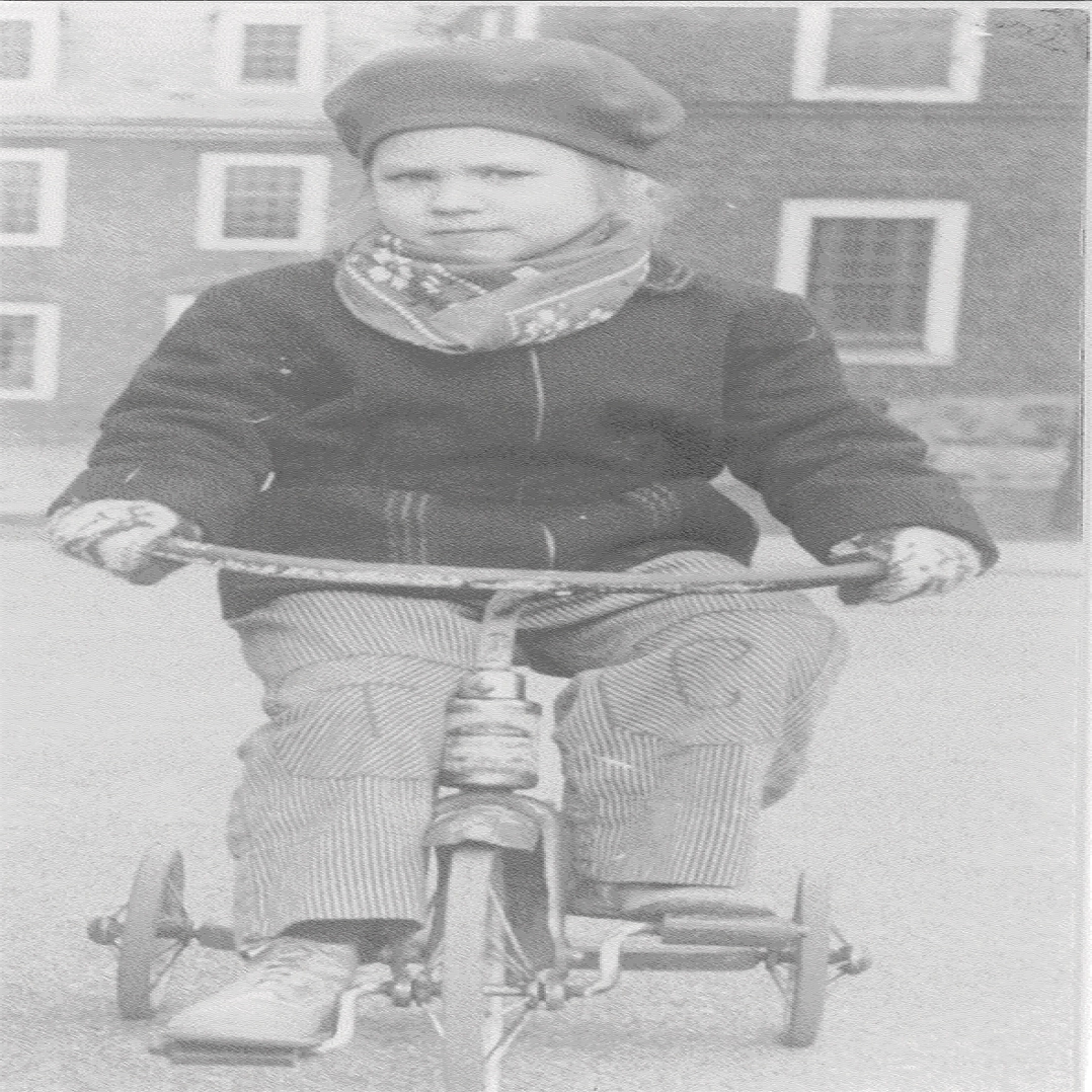 tricycle photograph.jpg